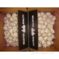 Fresh New Crop Reinweißer Knoblauch 5.0cm